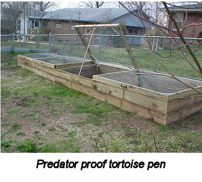 Predator proof tortoise pen
